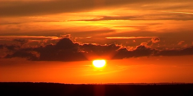 Compos — illustration