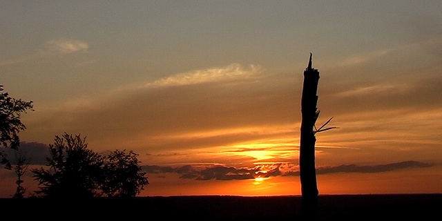 Compos — illustration