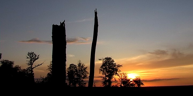 Compos — illustration