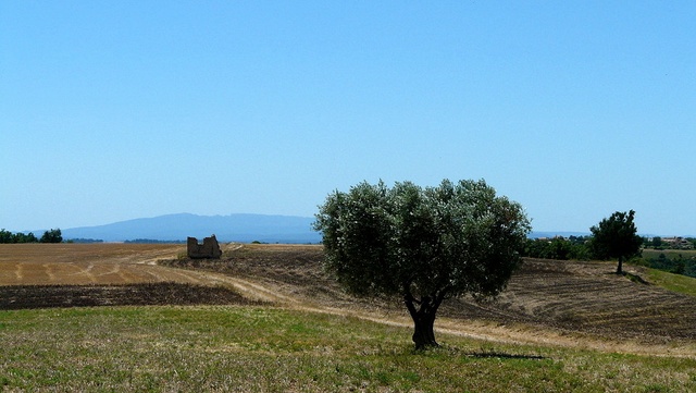 Interludes — illustration