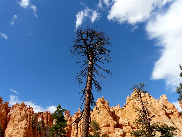 Infinity — illustration