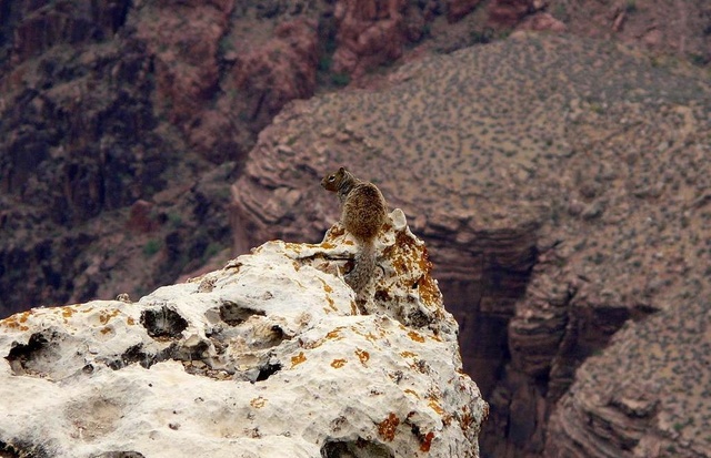 Infinity — illustration