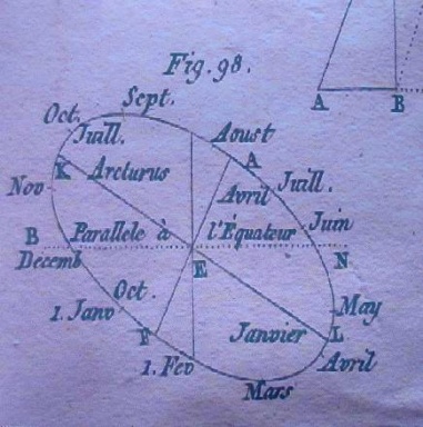 Exotic — illustration